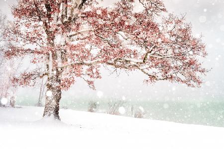 Schnee am See