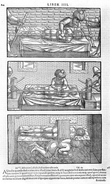 Illustration aus "Liber canonis de medicinis cordialibus" von Avicenna von Unbekannter Künstler