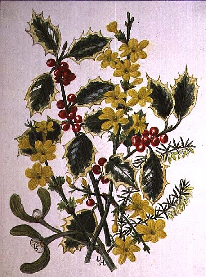 Holly, Winter Jasmine, Heath and Mistletoe (w/c on paper)  von Ursula  Hodgson