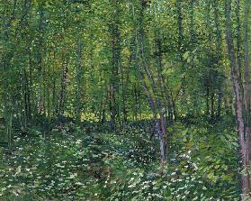 Woods and Undergrowth 1887