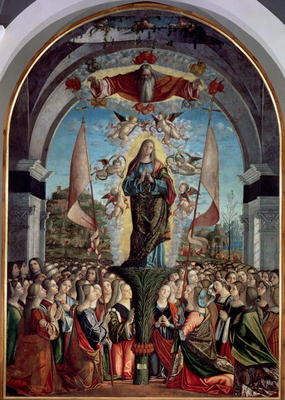 Glorification of St. Ursula and her Companions von Vittore Carpaccio
