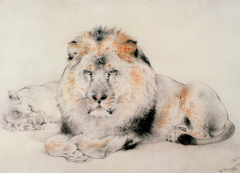 Lion and Lioness von William Huggins