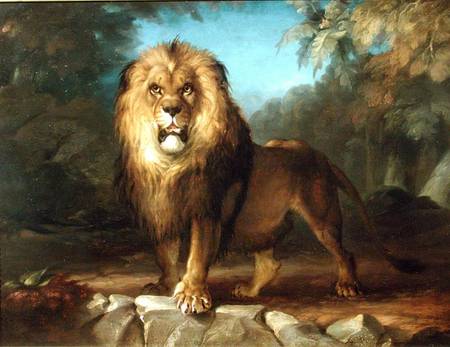 A Lion von William Huggins