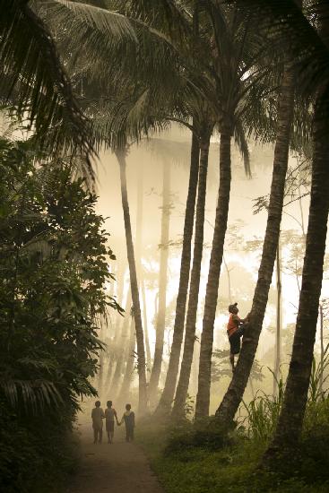 Jalan-jalan di pagi hari