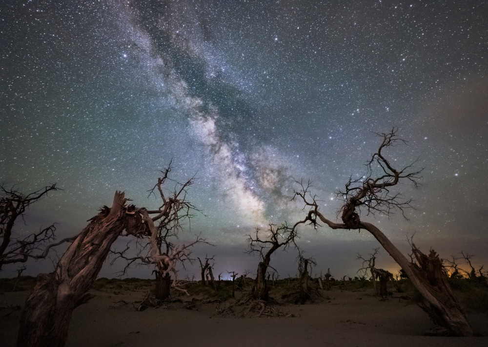 Galaxie über einem toten Wald von Yuhan Liao
