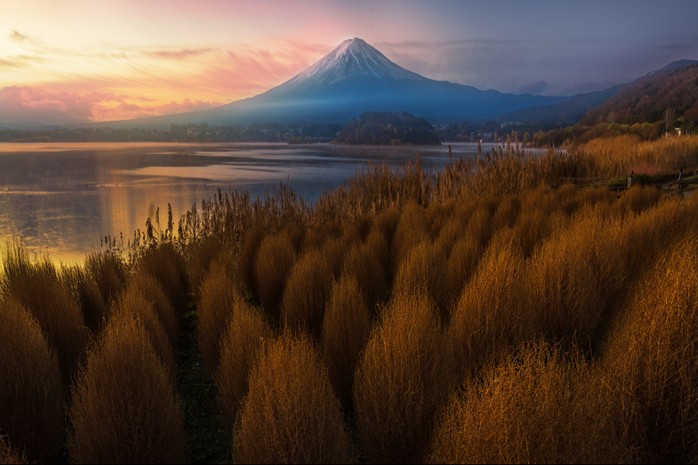 Mt. Fuji im Herbst von Yun Thwaits