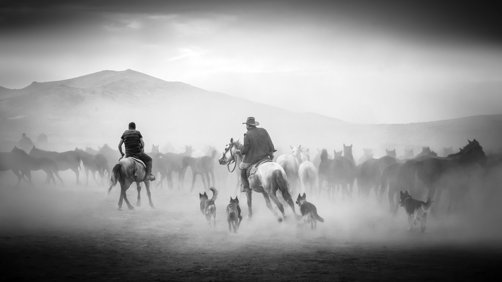 Cowboys von Zühdü Bilgin